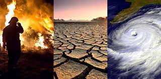 التغير المناخي: الدول الأكثر عرضة لآثاره تحذر من أنها قد تواجه خطر الانقراض