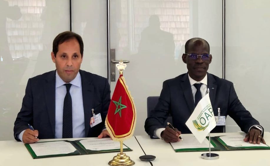 التوقيع على مذكرة تفاهم بين المكتب المغربي للملكية الصناعية والتجارية والمنظمة الافريقية للملكية الفكرية.