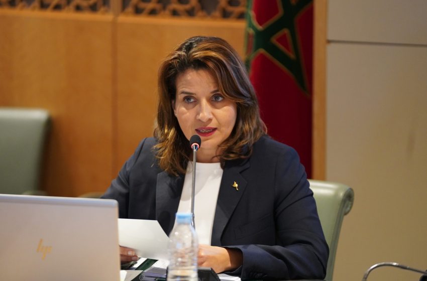 آفاق شراكات استراتيجية في مجال البيئة والتنمية المستدامة بين الرباط وباماكو..