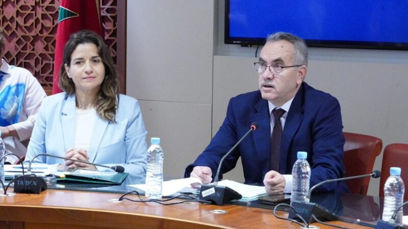 الوزيرة بنعلي: النجاعة الطاقية رهان وطني يفرض تعبئة جماعية وإصلاحا جذريا..