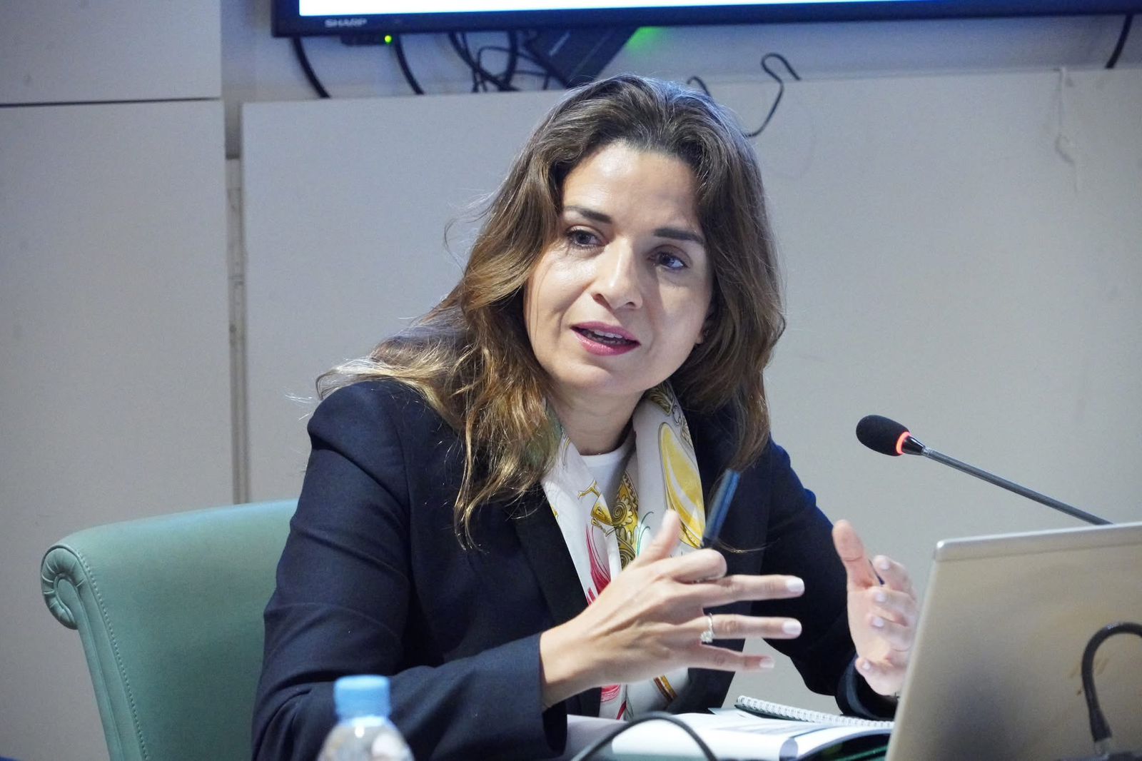 الاستراتيجية الوطنية للتنمية المستدامة 2035 تشكل ركيزة أساسية لترسيخ التحول البيئي العادل والمندمج..
