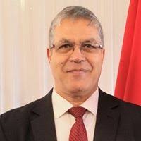 تأثير الأحزاب السياسية على تطور الديمقراطية في المغرب