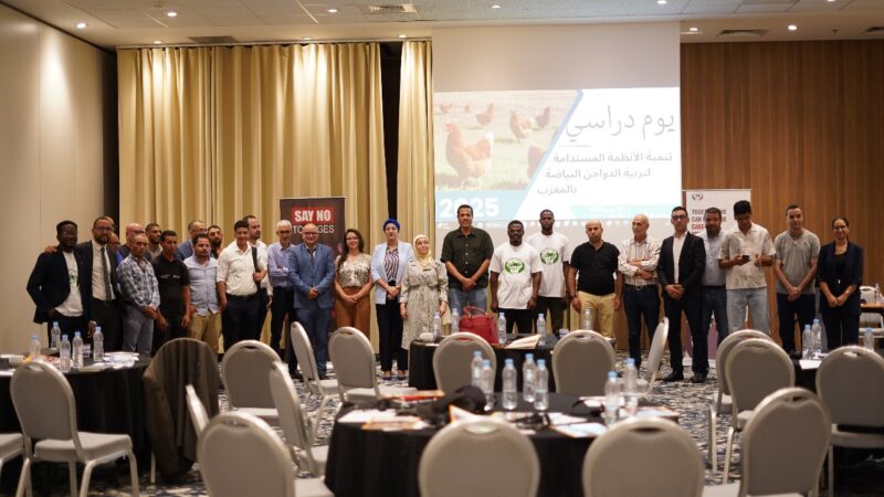 منظمة دولية تدعو الشركات لبدء تنفيذ التزام التوقف عن استخدام البيض المنتج داخل الاقفاص