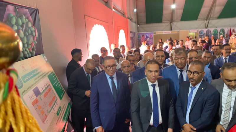 الوزير لحسن السعدي يشرف على افتتاح الدورة الثانية للمعرض الجهوي للاقتصاد الاجتماعي والتضامني بمدينة ورزازات