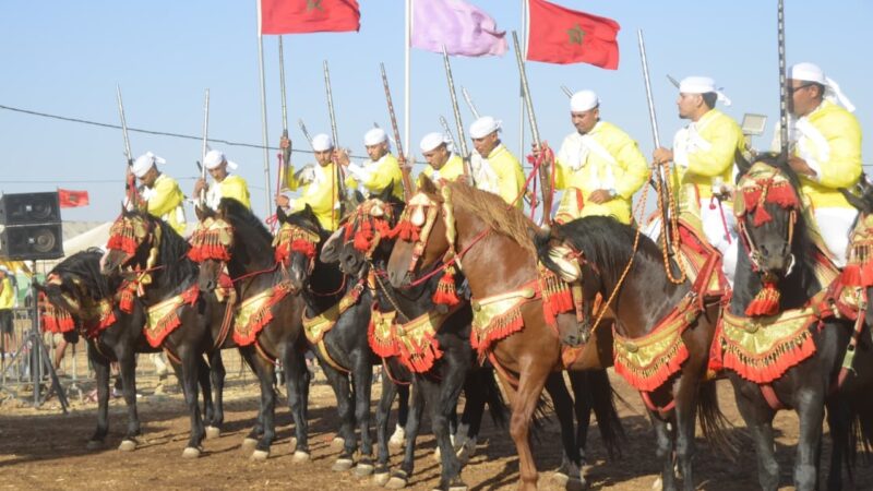 إقليم سطات.. مهرجان « امريزيك » في دورته الخامسة يحتفل بالتبوريدة كدعامة للتراث بالمنطقة..